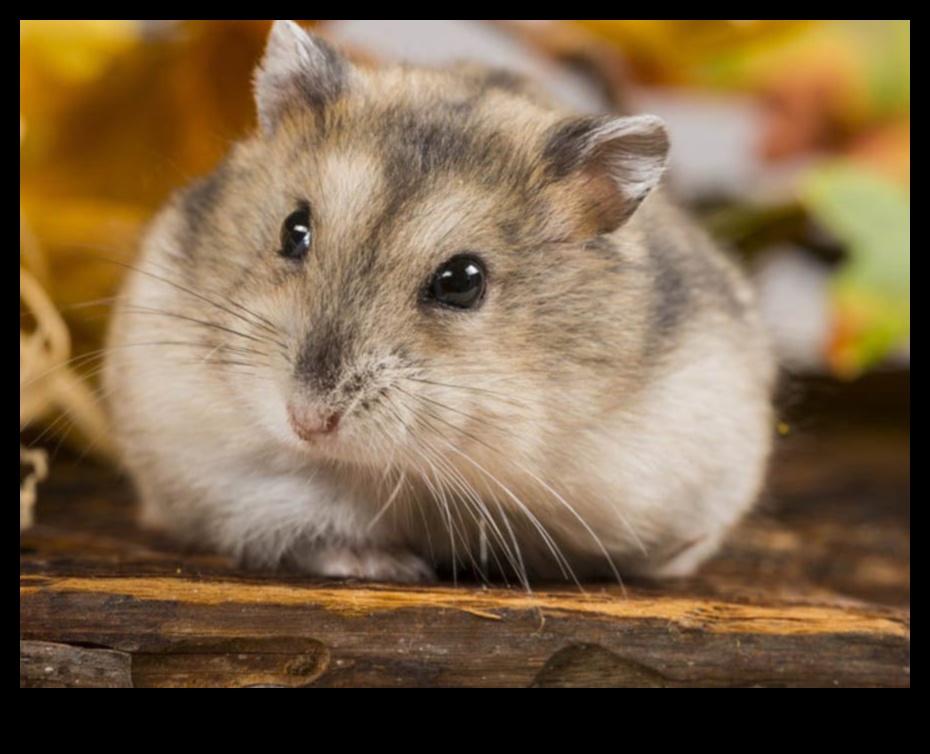 The Science of Hamster Running: Understanding Exercise and Energy