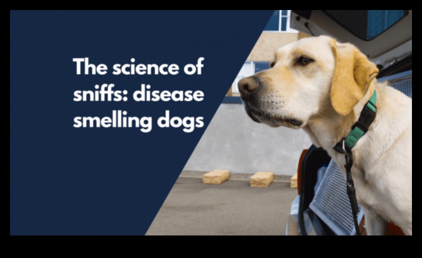 The Science of Sniffing Understanding a Dog's Sense of Smell 1