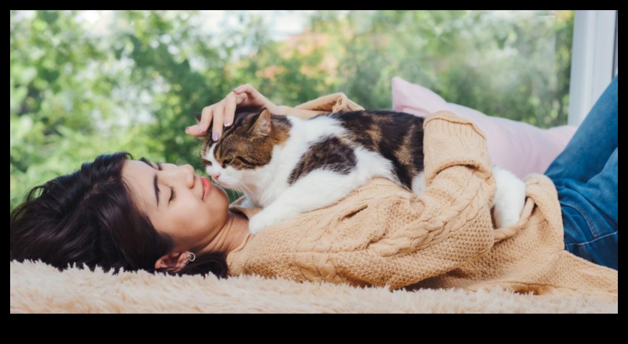 The Science of Snuggling: Understanding Your Cat's Affection