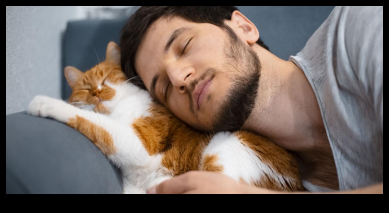 The Science of Snuggling: Understanding Your Cat's Affection