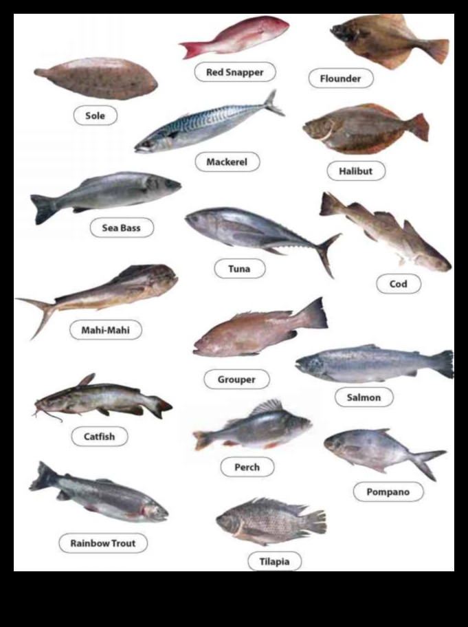 The Seafood Spectrum: Different Culinary Uses for Various Fish
