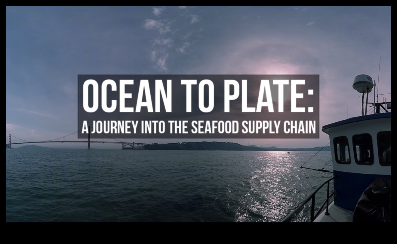 The Sustainable Seafood Journey: From Ocean to Table