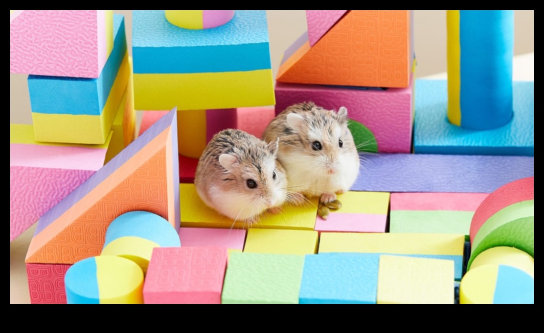 The Zen of Hamster Care: Cultivating a Calm and Happy Environment