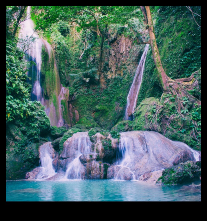 Tidal Tunes: Creating Playlists for Relaxing by the Water