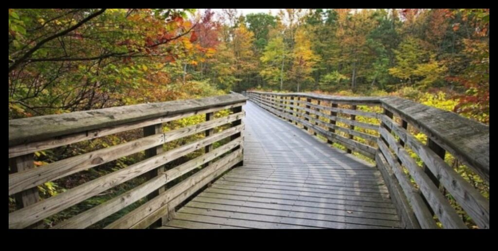 Township Trails A Hiker's Guide to the Natural Wonders of Your Backyard 1