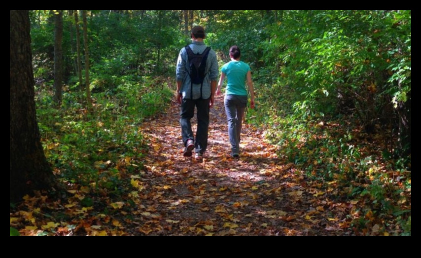 Township Trails: A Hiker's Handbook to Local Attractions