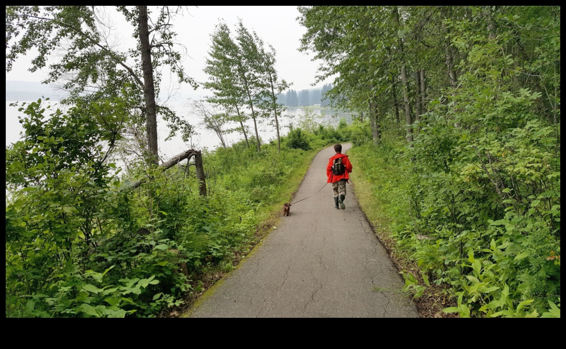 Township Trails: A Hiker's Handbook to Local Attractions