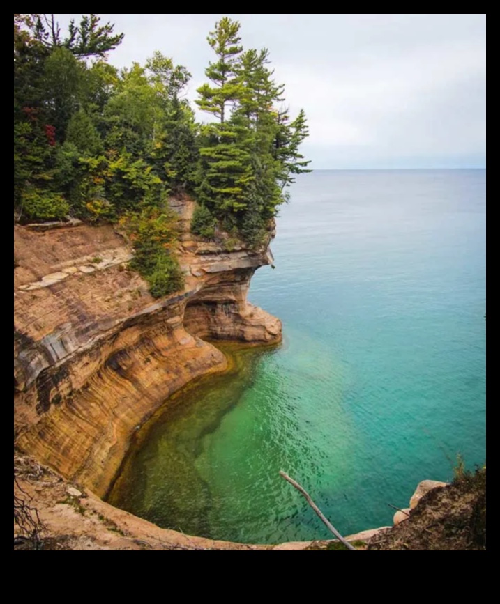 Township Trails A Hiker's Guide to the Natural Wonders of the Midwest 1