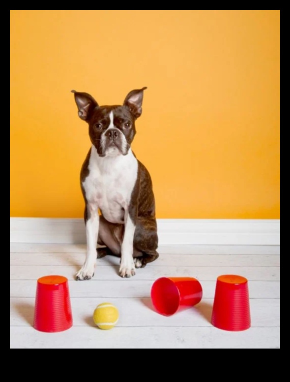 Toy Time Triumphs: Engaging Play Ideas for Dogs and Cats