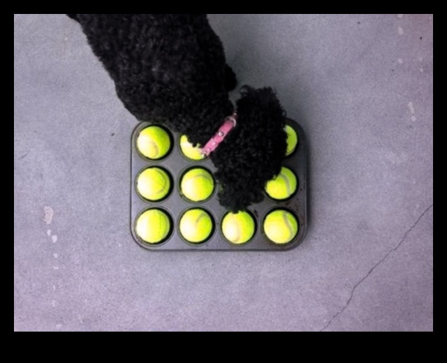 Toy Time Triumphs: Engaging Play Ideas for Dogs and Cats