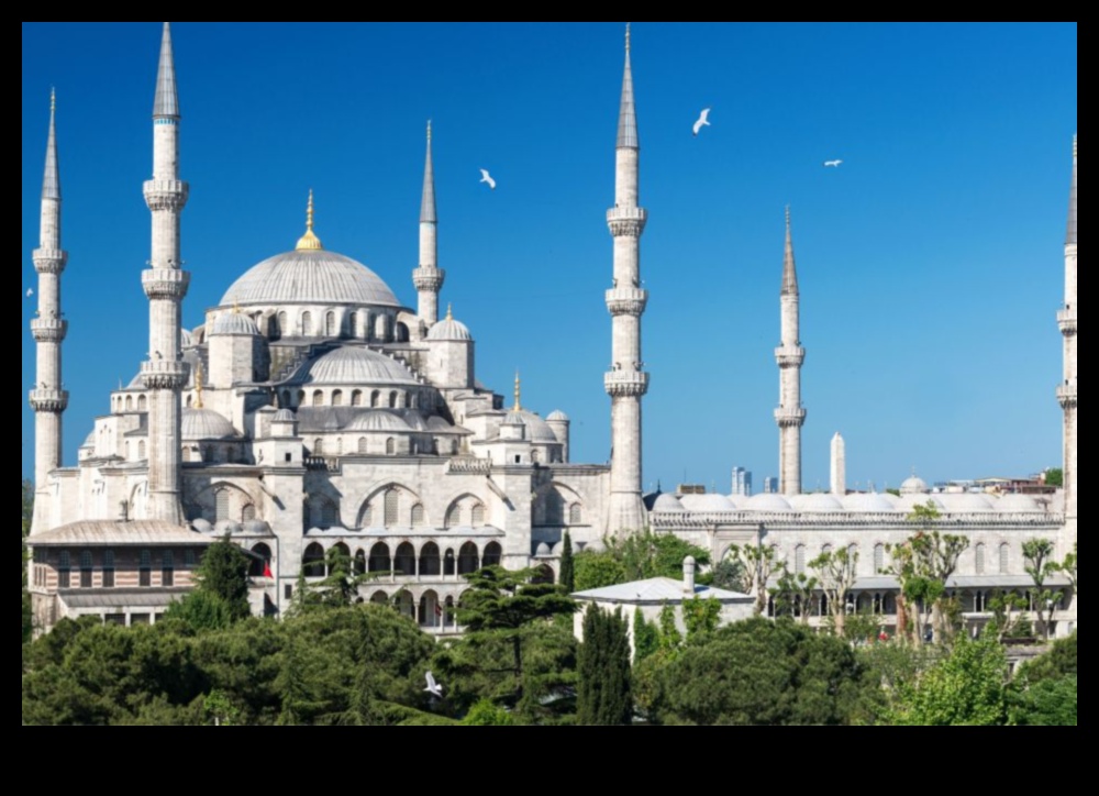 Trail Tales: Stories from Guided Walking Tours