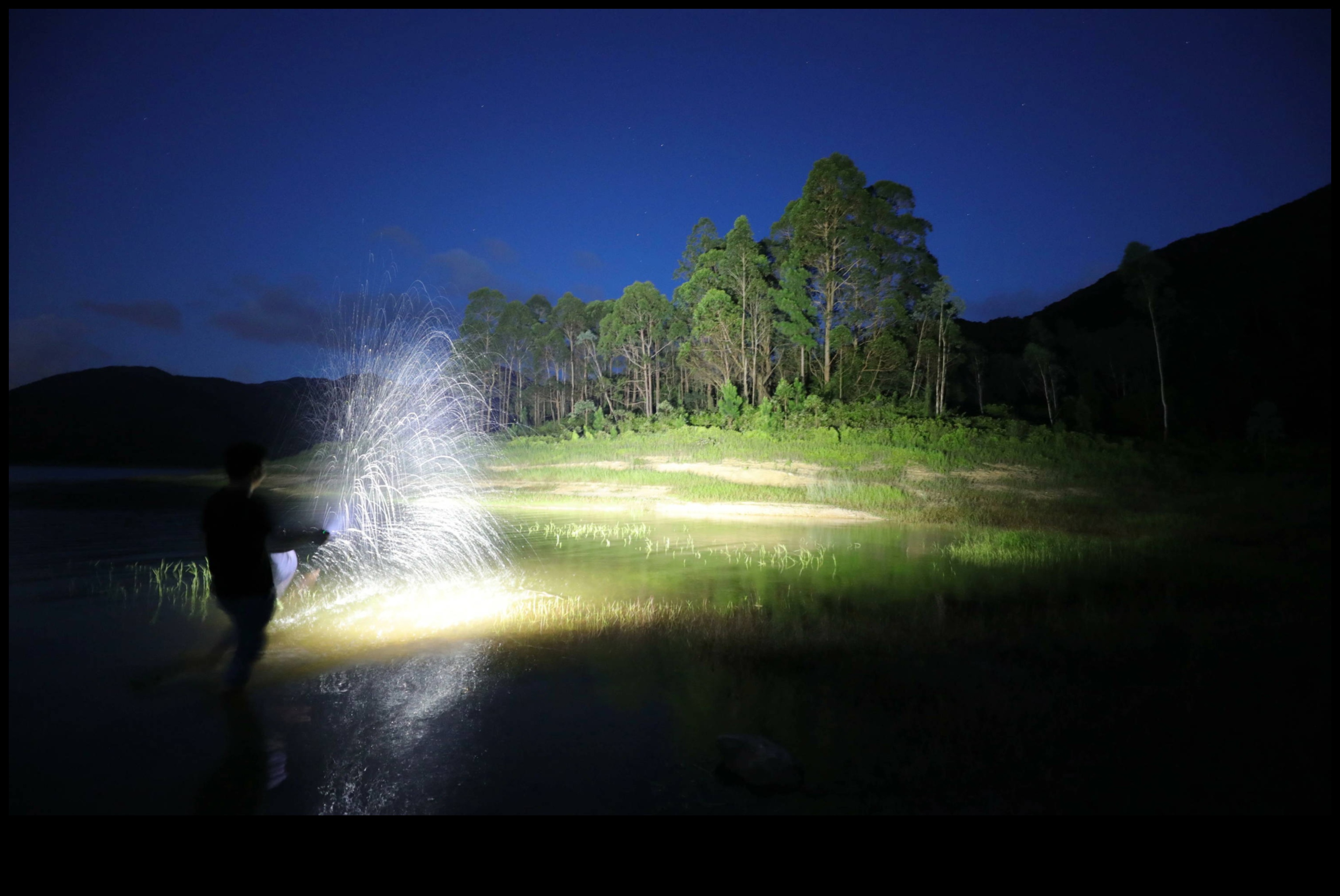 Trail Treasures: Unleashing Adventure in the Wilderness