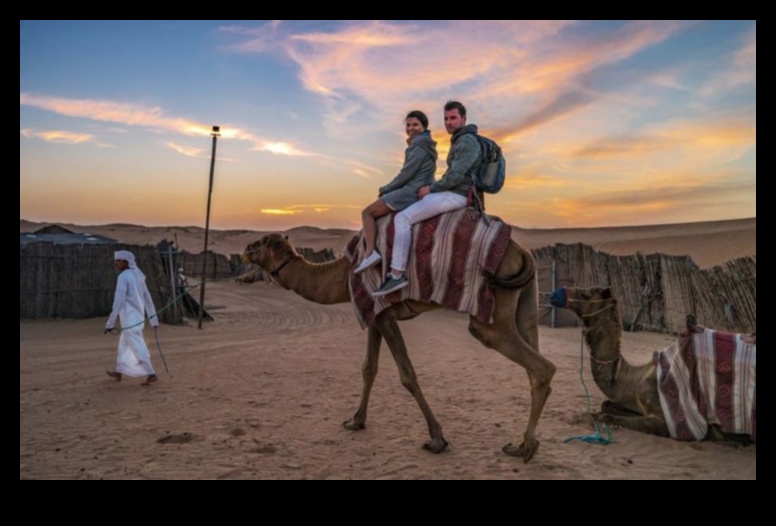 Trail Treasures: Unleashing Adventure in the Wilderness