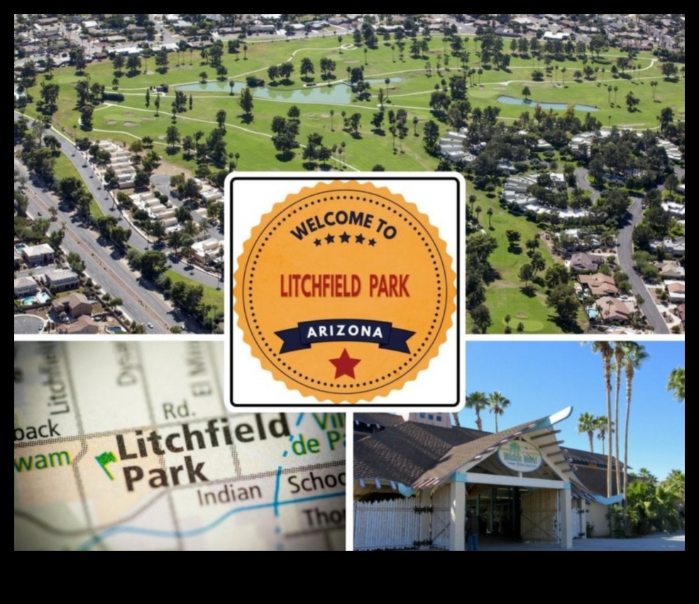 Trail Treasures: Unleashing Adventure in the Wilderness