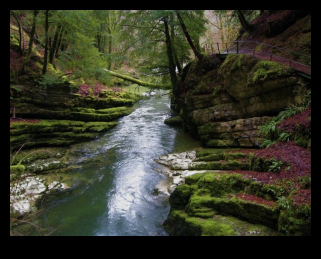 Trailside Triumph Get in Shape and Immerse Yourself in Nature 1