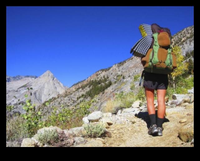 Trailside Triumph: Outdoor Workouts in Natural Splendor