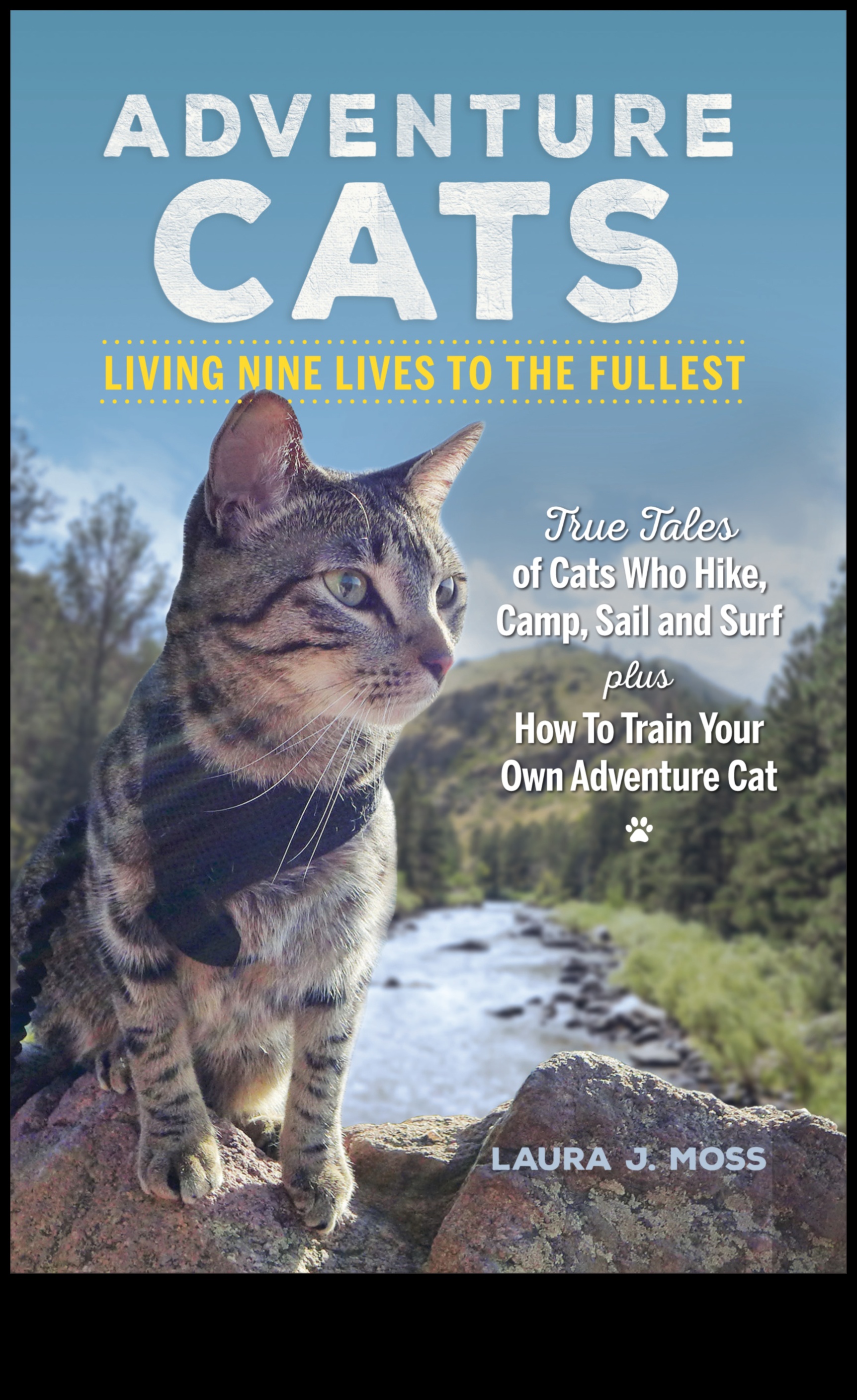 Urban Jungle Training: Outdoor Exercises in the Midst of City Life