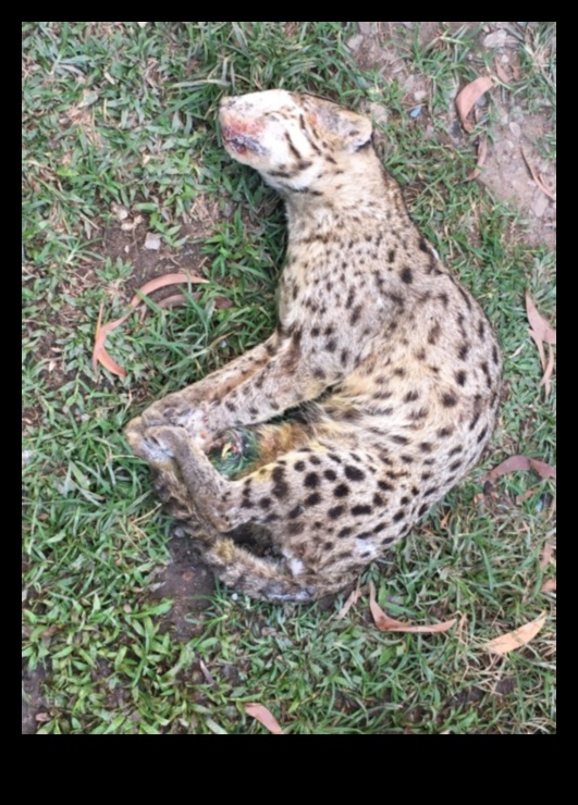 Urban Jungle Training: Outdoor Exercises in the Midst of City Life