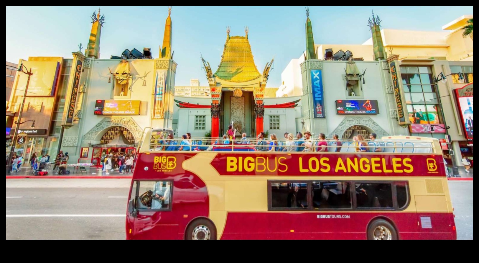 Transit Tales: A Guide to Bus Tour Narratives