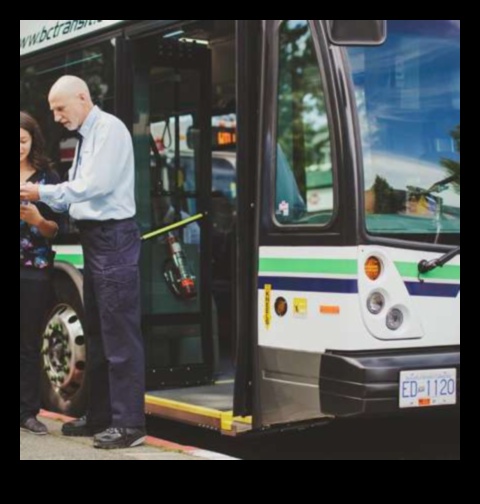 Transit Trails: A Guide to Bus Tour Exploration