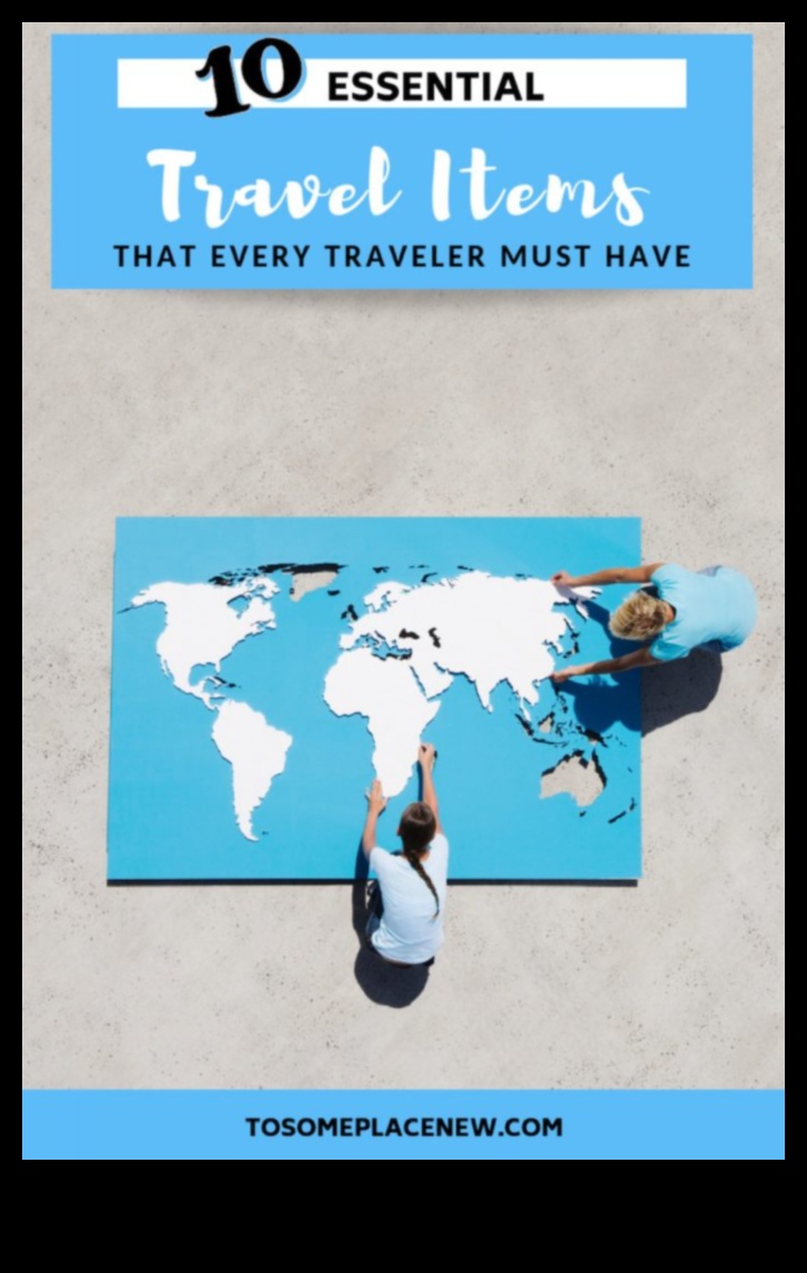 Traveler's Tonic A Guide to the Essential Knowledge Every Traveler Needs 2 Traveler's Tonic: A Potion of Essential Travel Knowledge