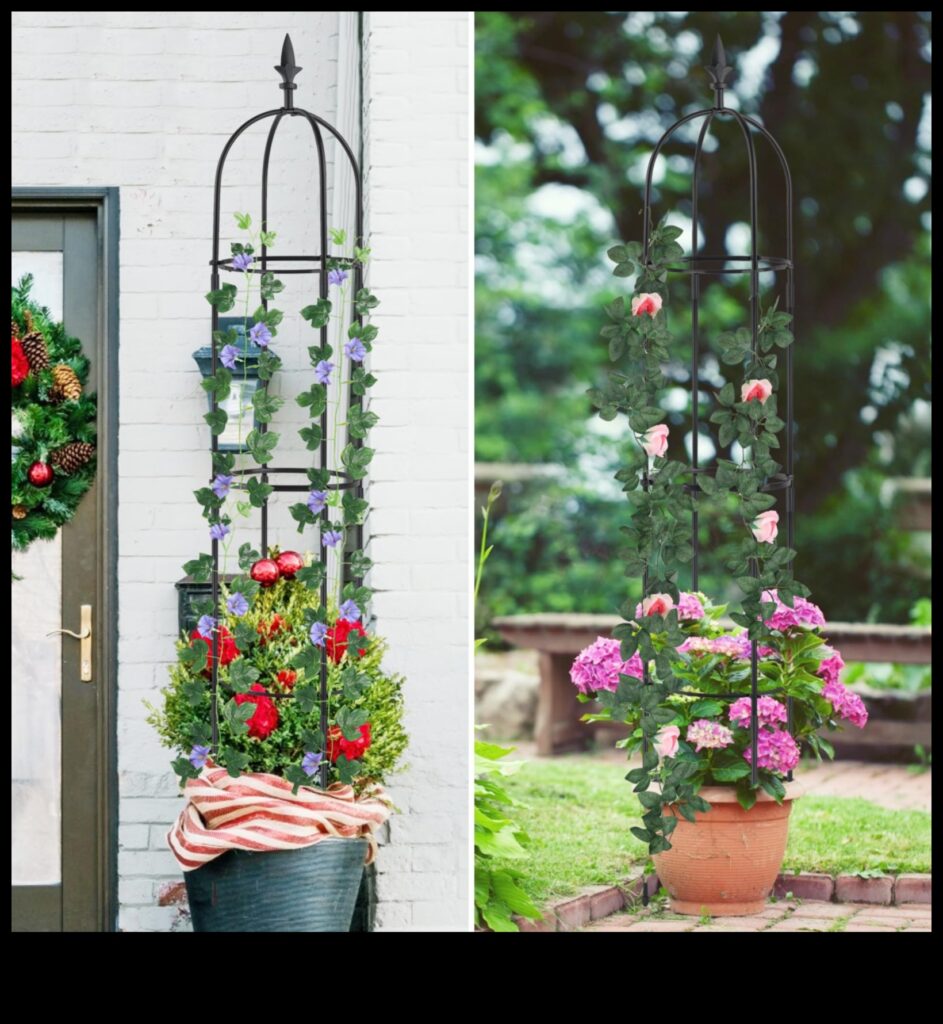 Traveler's Trellis A Garden for Your Mind 1