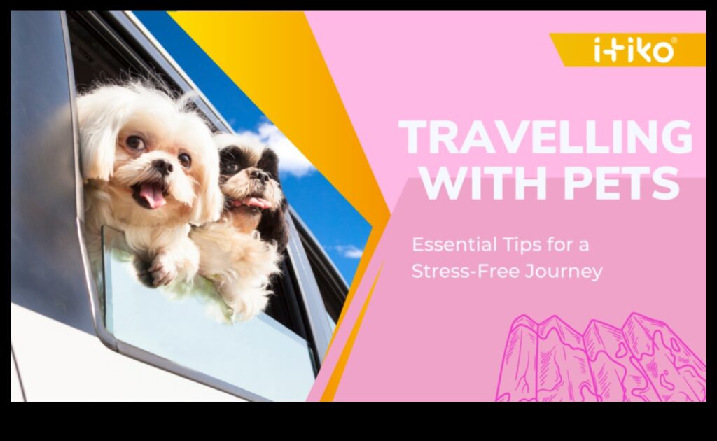 Traveling with Pets Tips for Stress-Free Journeys 1