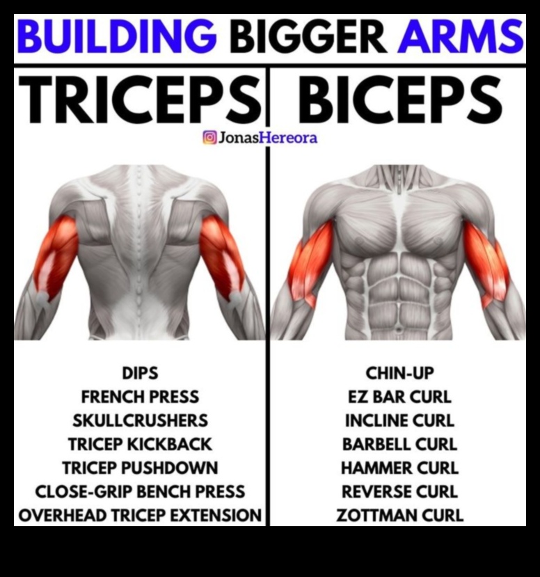 Triceps Triumph How to Build Bigger, Stronger Arms for a Complete Arm Look 1