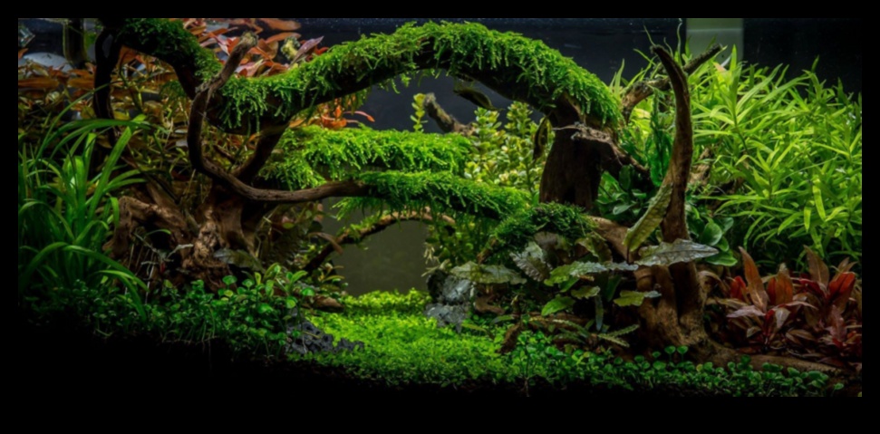 Tropical Tank Trek Creating a Jungle Adventure in the Aquarium 1