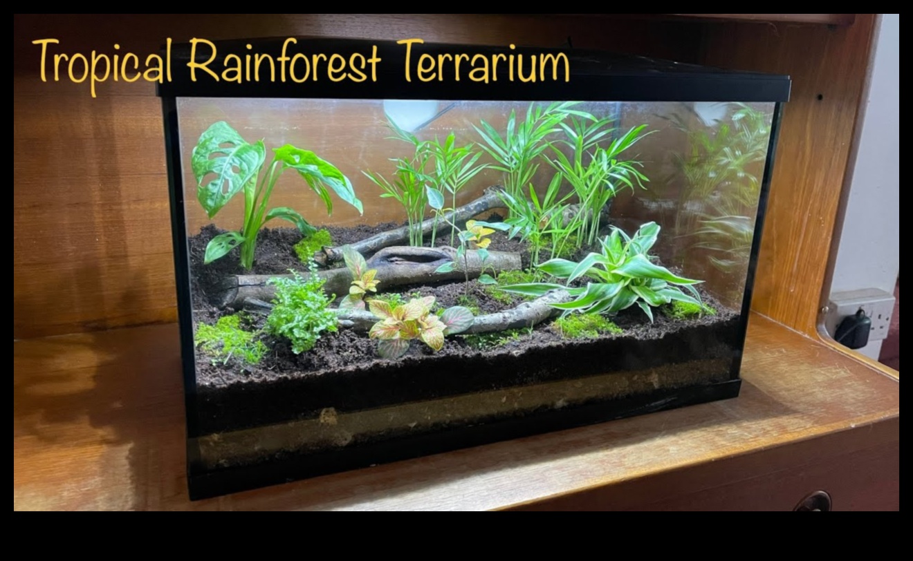 Tropical Tank Trek: Creating a Jungle Adventure in the Aquarium