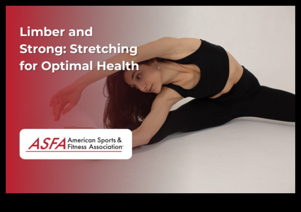 Unlock Your Full Potential with Limber Lifestyle A Guide to Daily Stretching 1