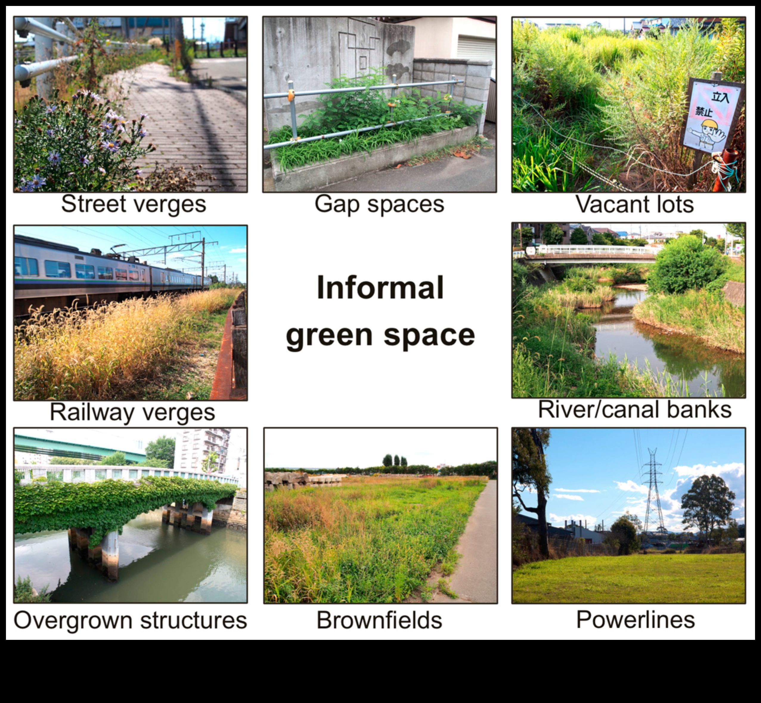 Urban Wilderness: Outdoor Exercises in the Heart of the City