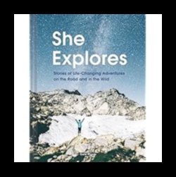 Venture Vignettes: Short Stories from the Realm of Thrills