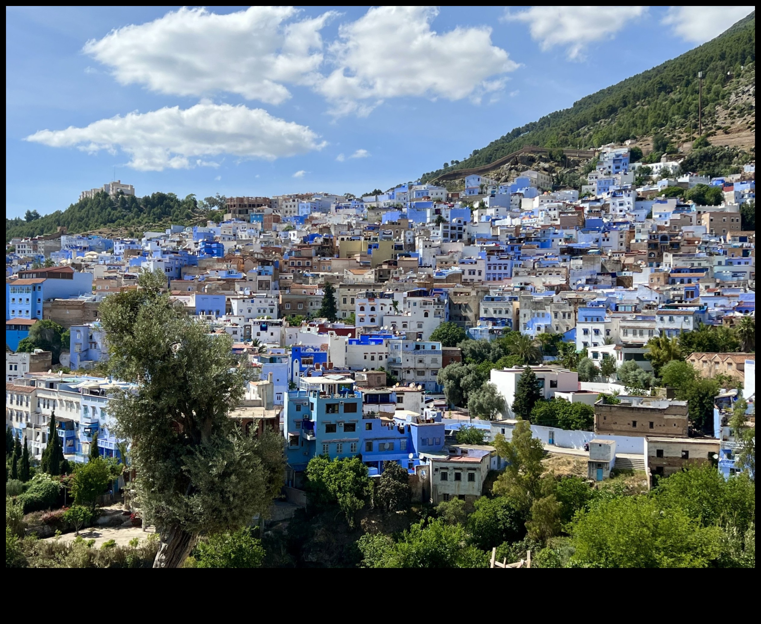 Village Vagabond: Roaming Through Local Attractions