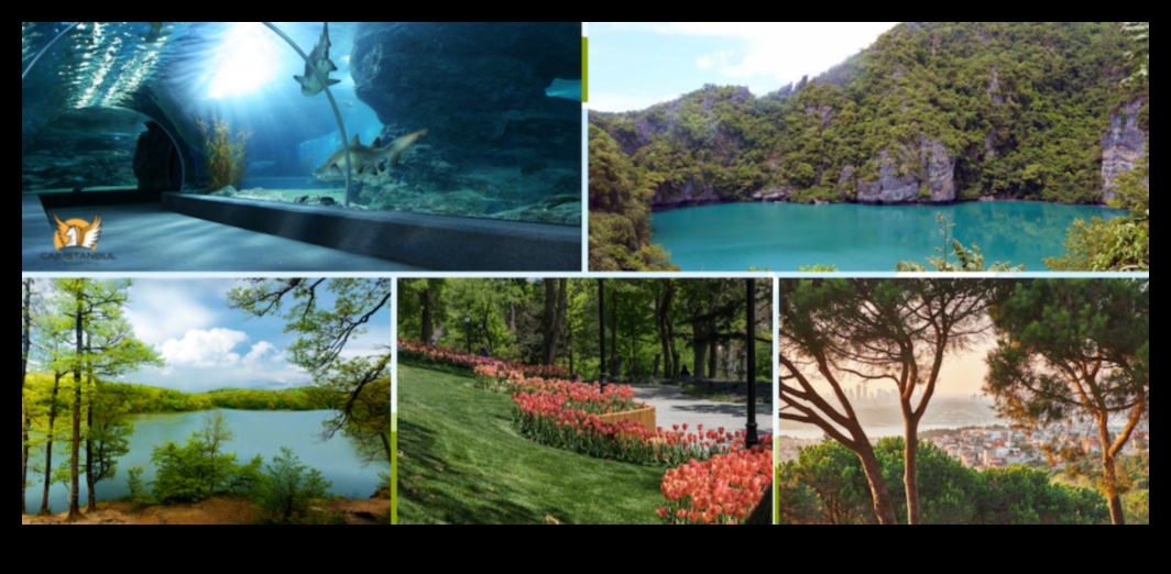 Village Vistas A Visual Feast of Charming Local Attractions 3 Village Vistas: A Visual Feast of Charming Local Attractions