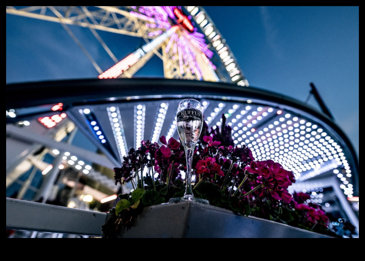 Visions in View: A Sightseeing Spectacle Extravaganza