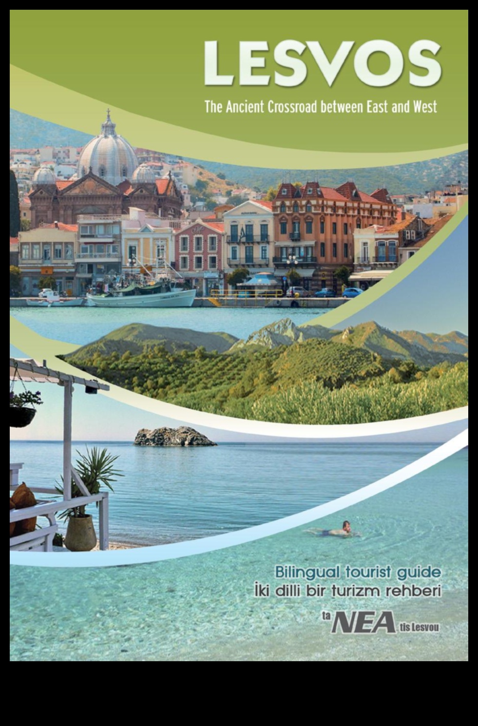 Visions in Vivid: Sightseeing in Living Color