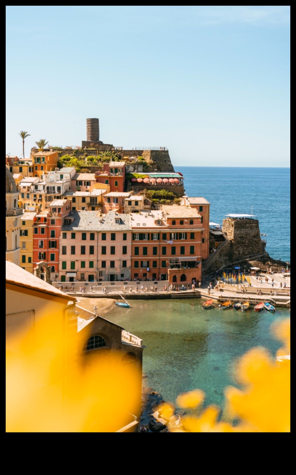 Vivid Vistas: A Sightseer's Handbook to Stunning Views