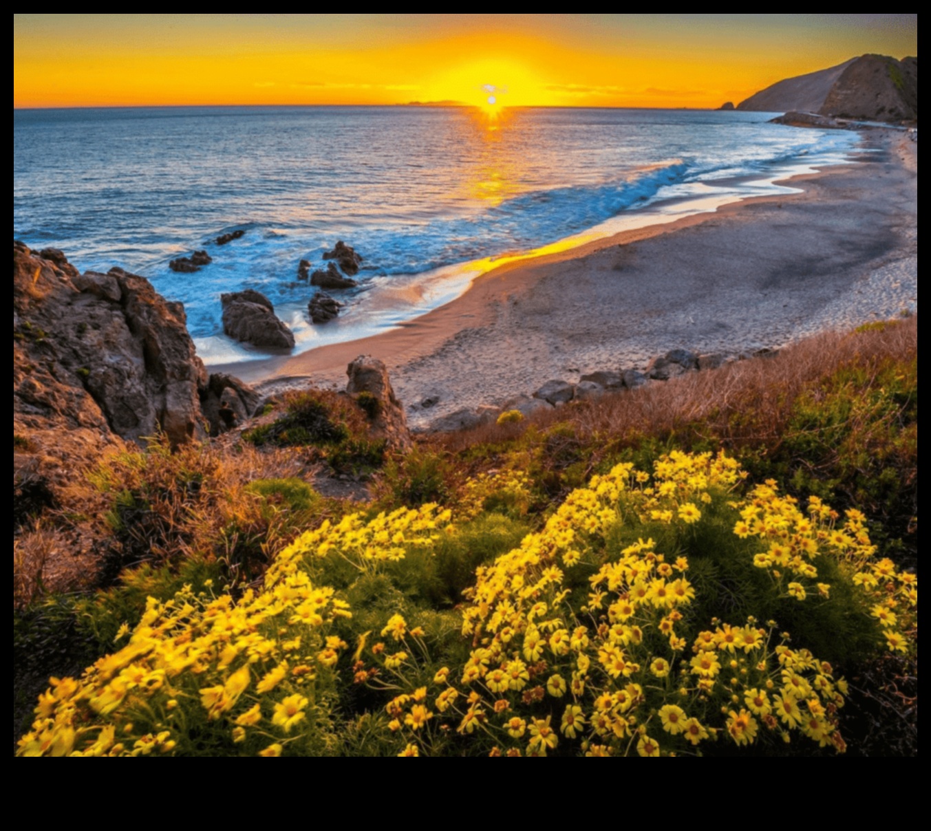 Vivid Vistas: A Sightseer's Handbook to Stunning Views