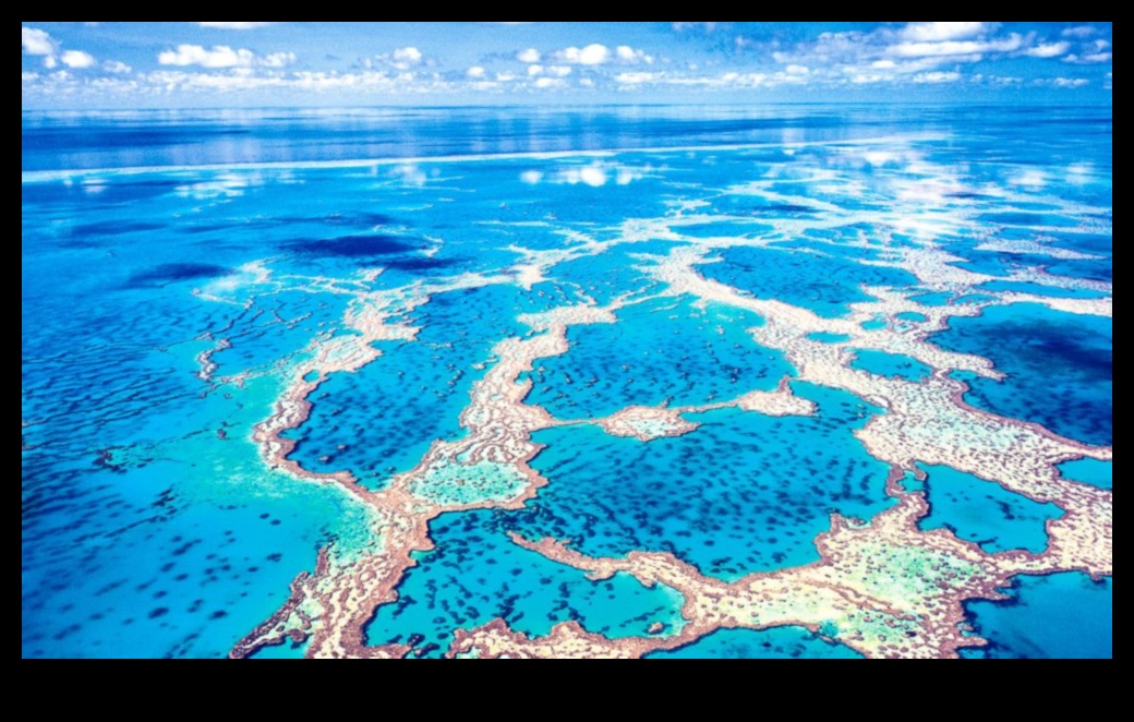 Vivid Vistas: A Sightseer's Handbook to Stunning Views