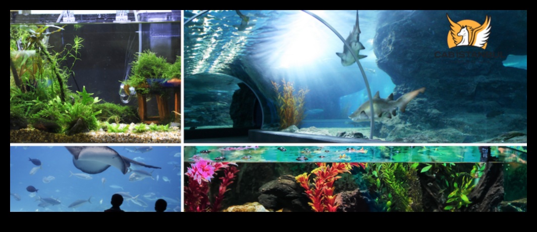 Vivid Voyages: A Palette of Luxurious Travel Adventures