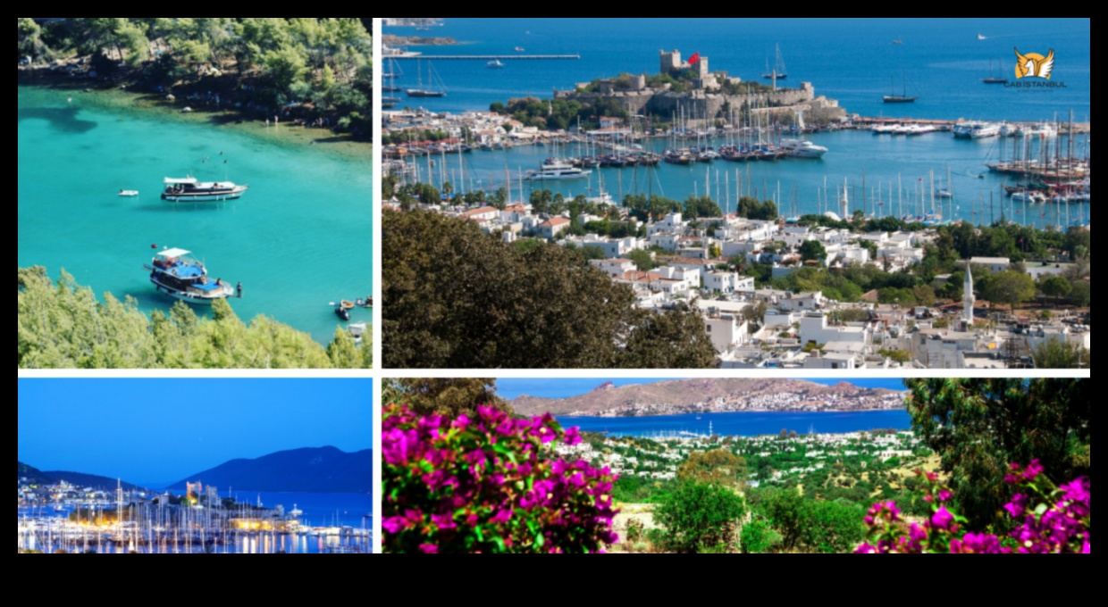 Vivid Voyages: A Spectrum of Luxurious Travel Adventures