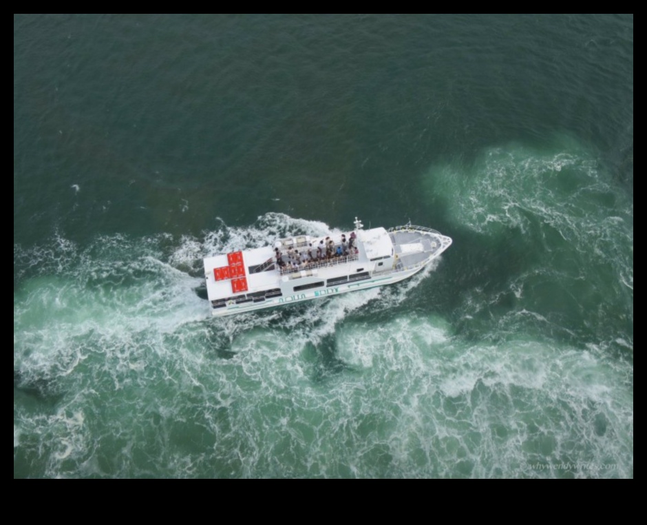 Voyage Vortex: Getting Swept Up in the whirlwind of Travel Tips