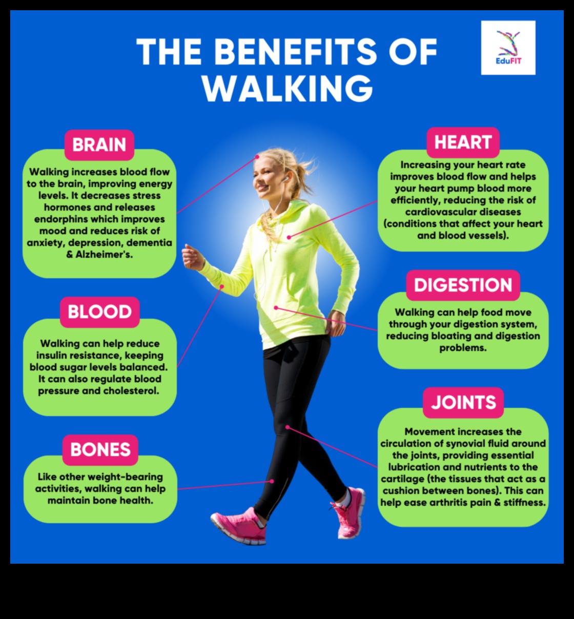 Walking Wisdom: The Simple Yet Powerful Benefits of Walking Exercise