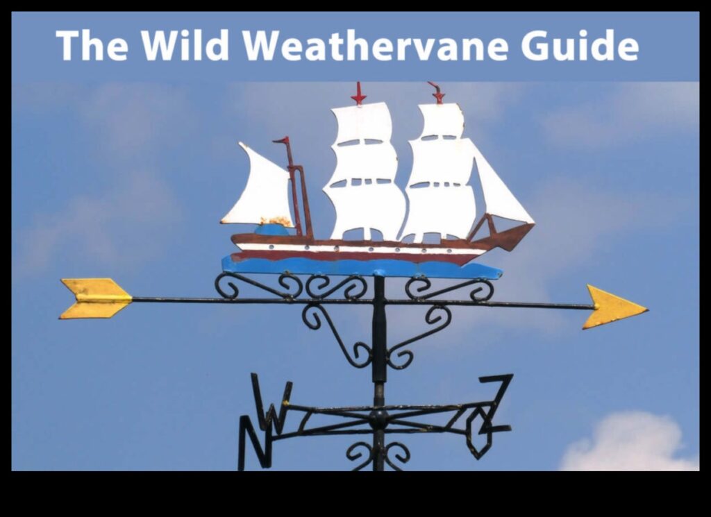 Wanderer's Weather Vane How to Use the Weather to Plan Your Next Trip 1
