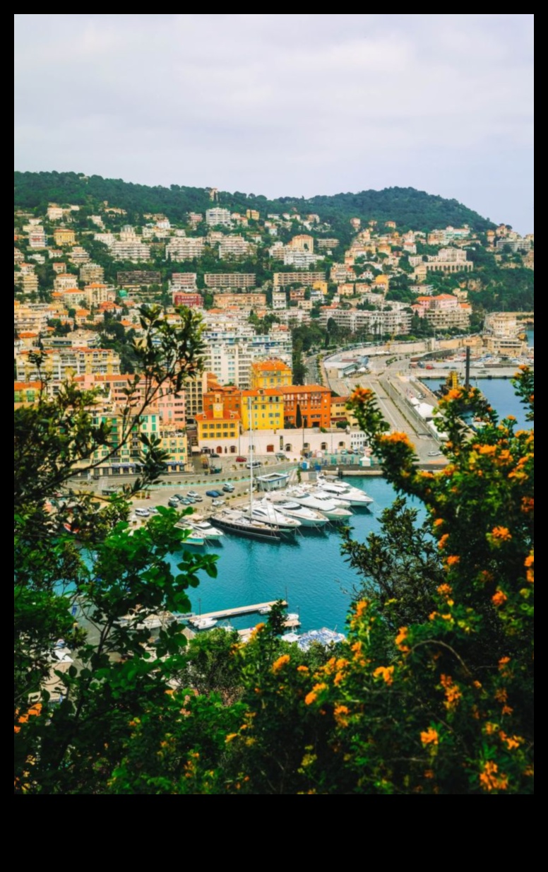 Wanderer's Wonderland Your Guide to the World's Most Amazing Places 2 Wanderer's Wonderland: A Traveler's Essential Companion