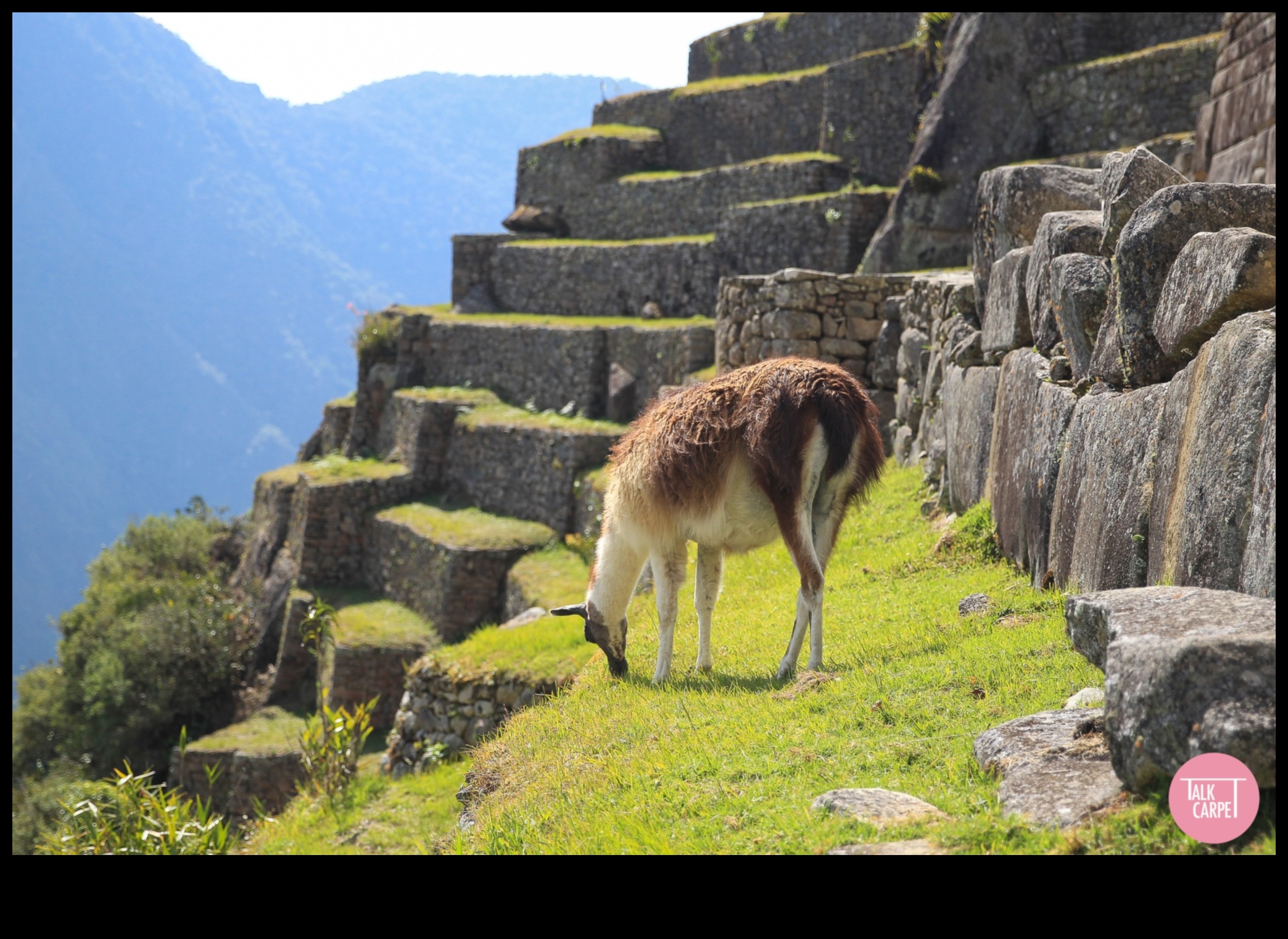 Wanderlust Windows: Peering into the World's Best Sightseeing