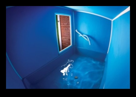 Water Wonders Float, Flow, and Feel Your Best During Pregnancy 4 Water Wonders: Aquatic Pregnancy Workouts for Gentle Fitness