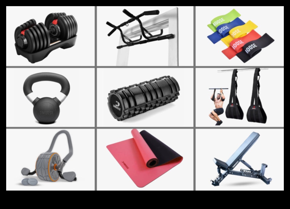 Wellness Warriors 5 Exercise Equipment Essentials for a Healthy Lifestyle 1
