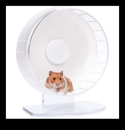 Wheel of Fun: Choosing the Best Exercise Wheel for Your Hamster